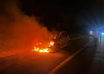 Tekirdağ’da İranlı kadının aracı alev topuna döndü