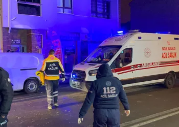 Yangın çıkan evde 1 kadın ve 2 kedi ölü bulundu