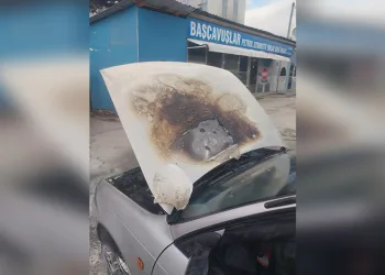 Artvin’de meyve yüklü kamyon dereye yuvarlandı: 1 yaralı