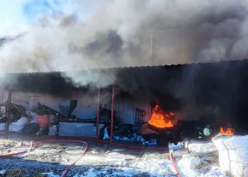 Çorum’da yapılan denetimlerde 5 adet silah ele geçirildi