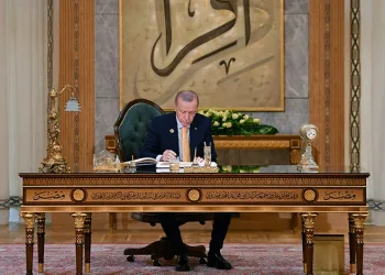 Cumhurbaşkanı Erdoğan, D-8 Zirvesi’nde konuştu