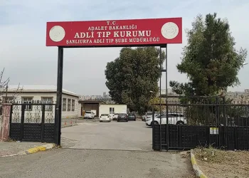 Körfez’de 512 karton kaçak sigara ele geçirildi