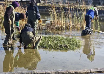 Büyükşehir’den Gökdere Millet Bahçesi’ne bilimsel dokunuş
