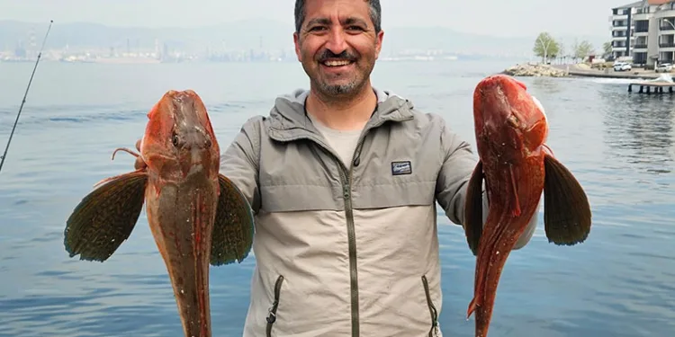 Amatör balıkçı toplam 6 buçuk kiloluk 2 balık yakaladı