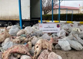 Kesinleşmiş 11 yıl cezası bulunan firariyi jandarma yakaladı
