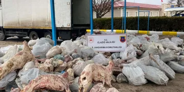 Kesinleşmiş 11 yıl cezası bulunan firariyi jandarma yakaladı
