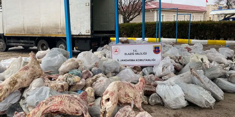 Kesinleşmiş 11 yıl cezası bulunan firariyi jandarma yakaladı