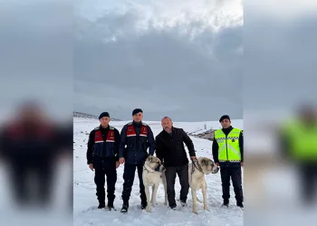 Dilovası’nda kaçak sigara operasyonu: 2 gözaltı