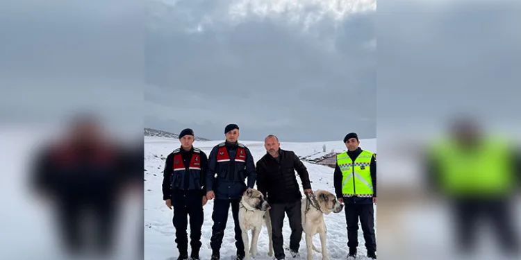 Dilovası’nda kaçak sigara operasyonu: 2 gözaltı