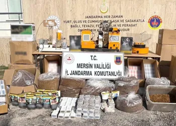 Sahte çek karmaşası
