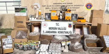 Sahte çek karmaşası
