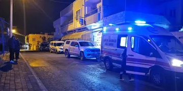 Van merkezli 4 ilde dolandırıcılık operasyonu: 6 gözaltı