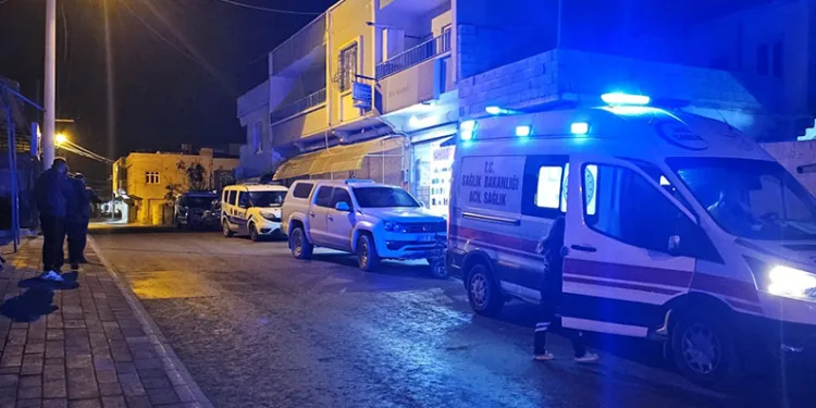 Van merkezli 4 ilde dolandırıcılık operasyonu: 6 gözaltı