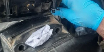 Mersin’de uyuşturucu operasyonuna 1 tutuklama