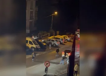 Kontrolden çıkan araç üzüm bağına uçtu