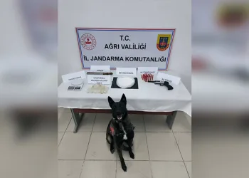 Domuz avında ayı saldırısına uğrayan eski muhtar ağır yaralandı