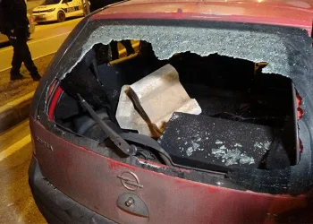 Van’da refüje çarpan otomobilin sürücüsü yarandı