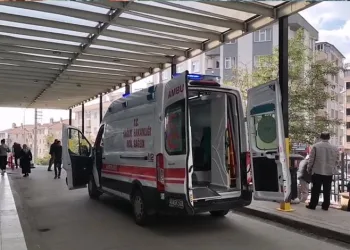 Domuz avında ayı saldırısına uğrayan eski muhtar ağır yaralandı