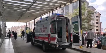 Domuz avında ayı saldırısına uğrayan eski muhtar ağır yaralandı