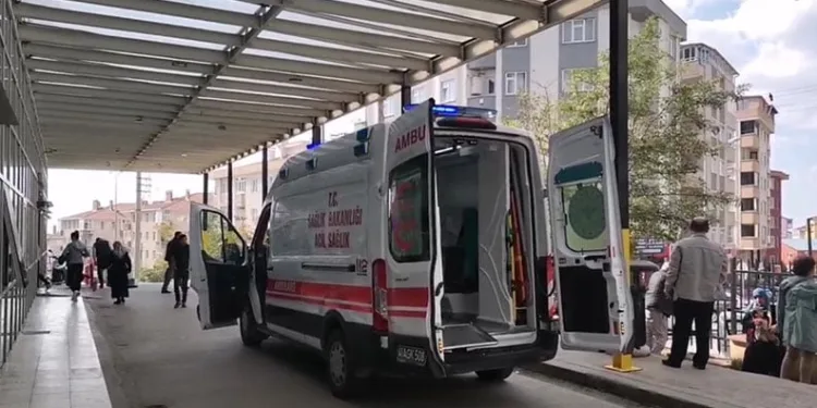 Domuz avında ayı saldırısına uğrayan eski muhtar ağır yaralandı