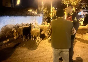 Karadeniz Ereğli’de operasyonda 1 kilogram uyuşturucu ele geçirildi