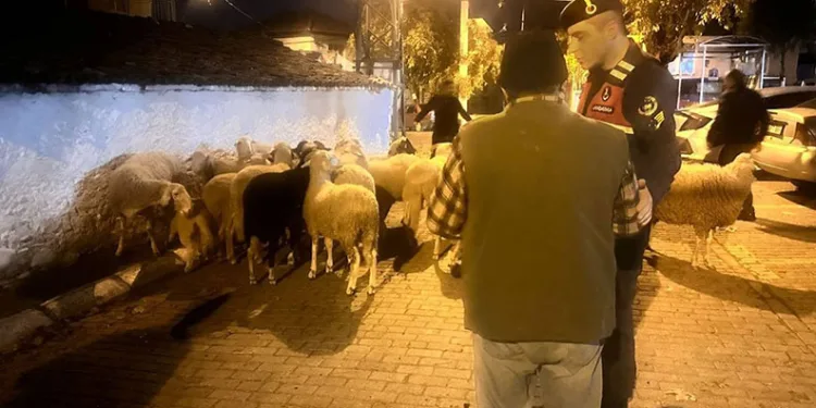 Karadeniz Ereğli’de operasyonda 1 kilogram uyuşturucu ele geçirildi