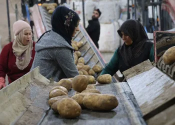 Erfelek Belediye Başkanı Uzun, merdivenden düşerek ağır yaralandı