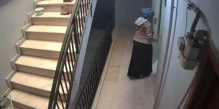 İnegöl’de hırsızı köpek engelledi