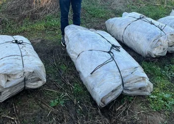 Salihli’de 348 araç sürücüsüne ceza yazıldı