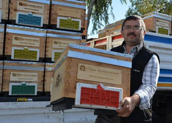 Tavuk yumurtası üretimi Ekim ayında yüzde 2,9 arttı
