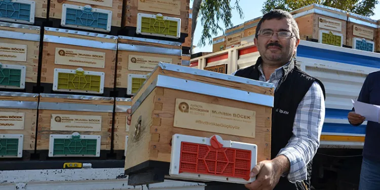 Tavuk yumurtası üretimi Ekim ayında yüzde 2,9 arttı