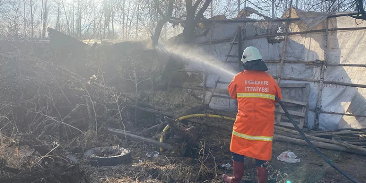Didim’de sigara kaçakçılığı operasyonu: 2 gözaltı