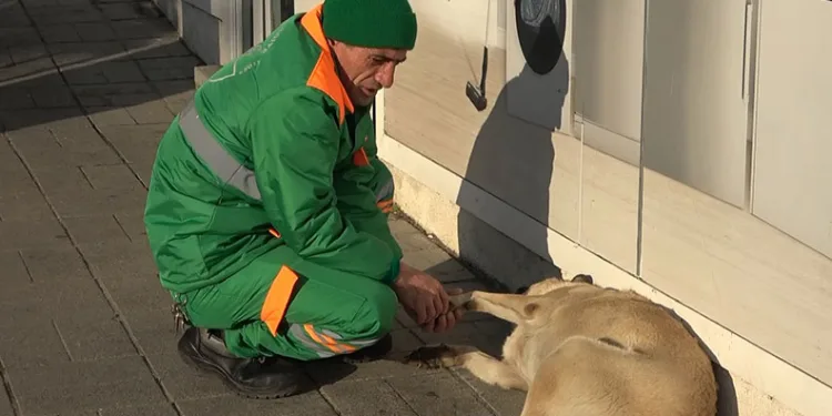 Bursa’da belediye çalışanı ile köpeğin eğlenmesi içleri ısıttı