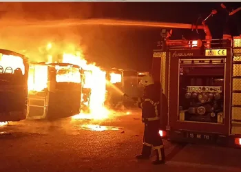 Şırnak’ta gümrük kaçağı ürün ele geçirildi, 27 şüpheliye işlem yapıldı
