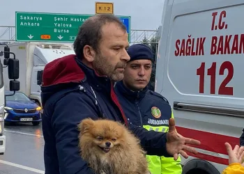 TEM’de cip istinat duvarına çarptı: Köpeğini bir an olsun bırakmadı