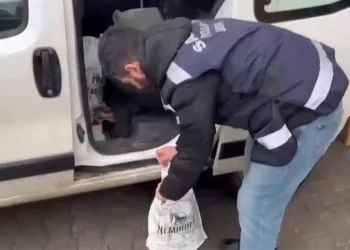 Van Gölü Ekspresi’nin Kirkor Dağı eteklerindeki muhteşem görüntüsü büyülüyor