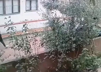 Hırsızlıktan kesinleşmiş 46 yıl hapis kararı vardı, polisten kaçamadı