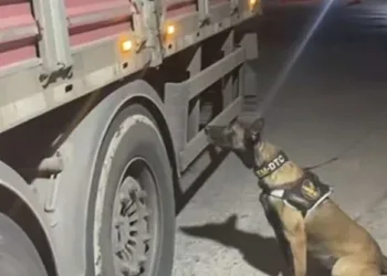 Otobüs terminalindeki bıçaklı kavgada kan aktı: 1 yaralı
