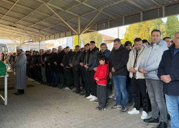Köpekten kaçarken hafif ticari araca çarpan motosiklet sürücüsü yaralandı