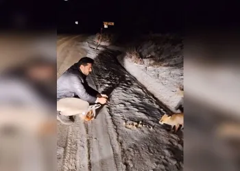 Bursa’da kontrolden çıkan otomobil şarampole uçtu