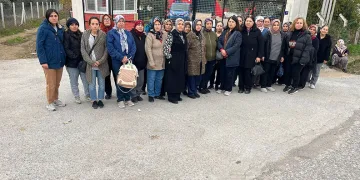 Bursa’da otomobiller kafa kafaya çarpıştı: 4 yaralı