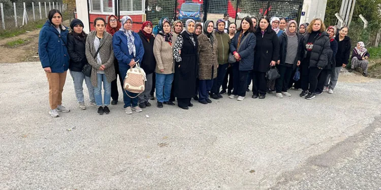 Bursa’da otomobiller kafa kafaya çarpıştı: 4 yaralı