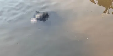 Yeşilırmak’ta erkek cesedi bulundu