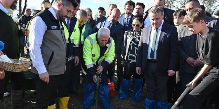 Bursa’da zeytin fidanları toprakla buluştu