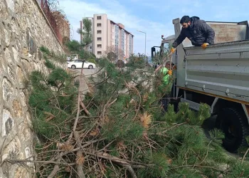 Orhangazi her yönüyle gelişiyor