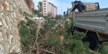 Orhangazi her yönüyle gelişiyor