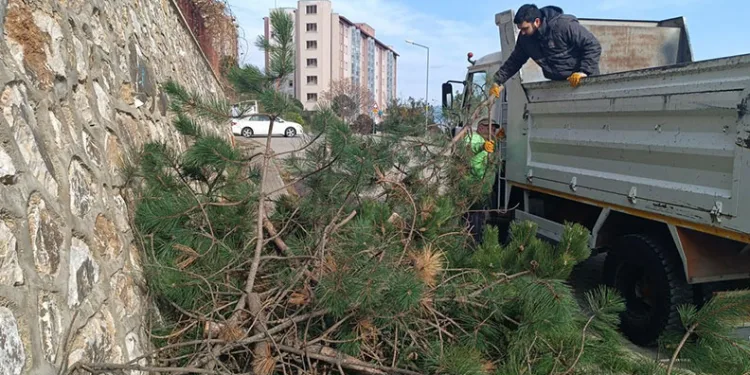 Orhangazi her yönüyle gelişiyor