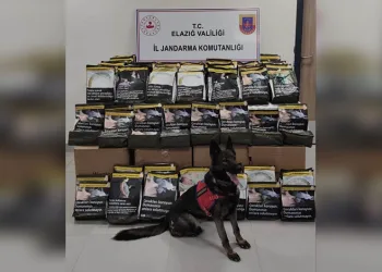 Tortum’da narkotik suçlarla bilgilendirme çalışması yapıldı