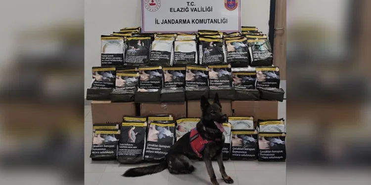 Tortum’da narkotik suçlarla bilgilendirme çalışması yapıldı