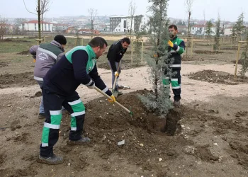 Engelliler için 167 fidan dikildi